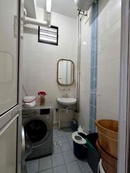 Hougang Avenue 1 (D19), Shop House #532420521
